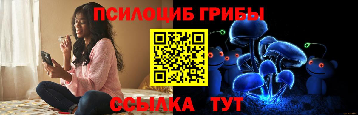 Галлюциногенные грибы MAGIC MUSHROOMS  Вход с VPN  Галлюциногенные грибы прущие грибы  Красноярск 